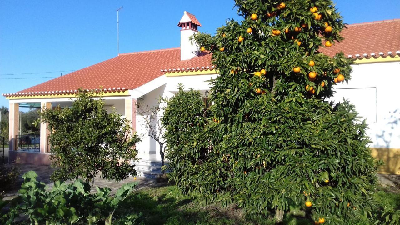 Tapada Da Beira Villa Marvão Exterior foto